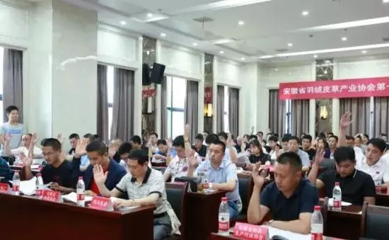 安徽省羽绒皮草产业协会成立，夏吉国总裁任第一届理事会顾问